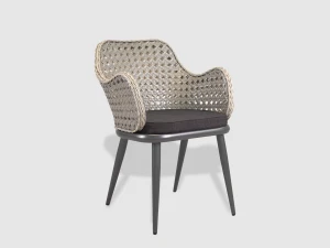 NEW COLLECTION 2026 - STOLICA VICTORIA