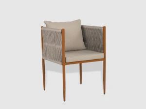 NEW COLLECTION 2026 - STOLICA LUGO