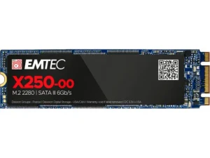 Emtec SSD M.2 X250 256 GB