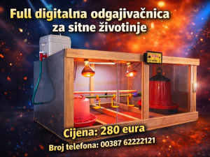 DIgitalna odgajivacnica kavez za koke pilice pilici zivotinje