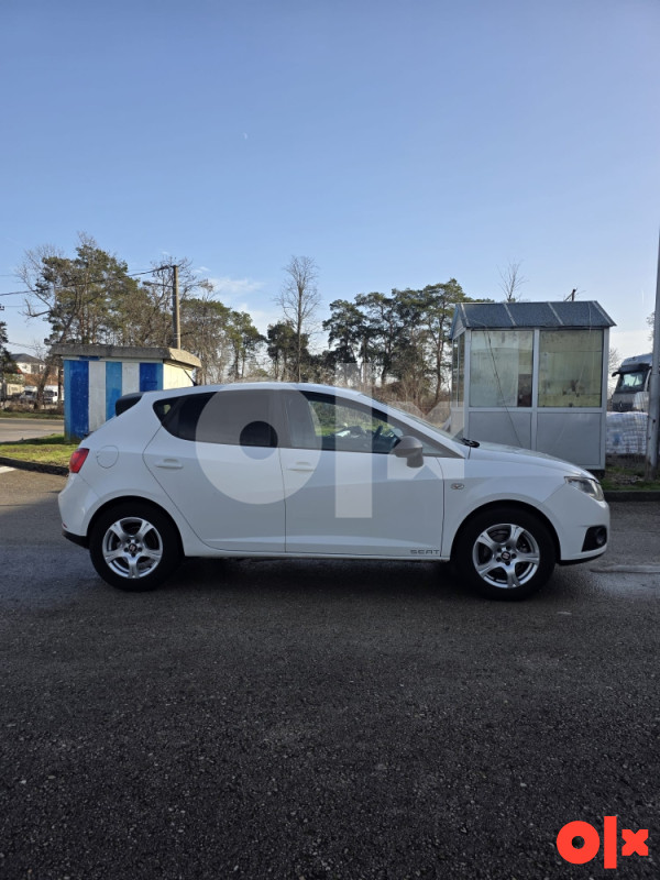 Seat Ibiza 2010 1.2 TDI 55KW 066 017 016
