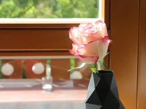 Ukrasne Dekorativne Vazne (0016)