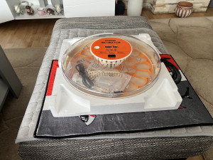 Inkubator 30 jaja pilici koke automatski kokoske novo video