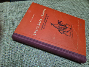 Tragedija genija, Vladimir Stanojević