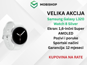 Samsung Galaxy L320 Watch 8 Silver