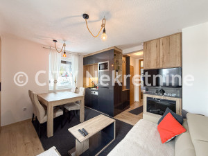 Dvosoban apartman - Jahorina - Šator - 28 m2 photo 5