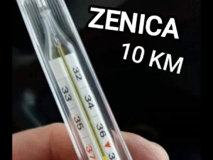 Toplomjer zivin