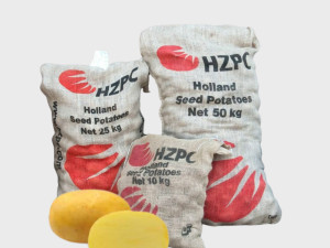 SJEME KROMPIRA AGRIA (HZPC) 35/55 A 25kg