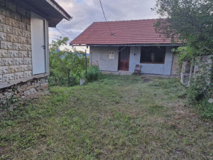 Imanje -Zebina suma photo 3