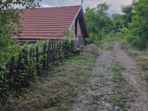 Imanje -Zebina suma photo 4