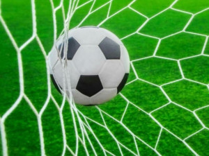 Mreze za golove / mreza za gol fudbal nogomet