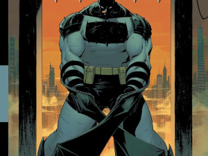 Absolute Batman Vol 1 The Zoo Strip Comic