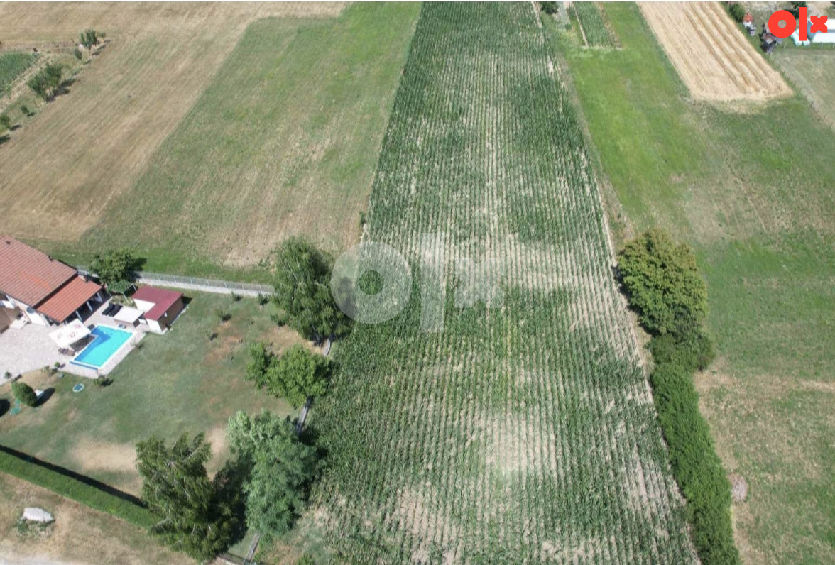 Zemljište Živinice 6000m2 2
