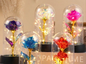 Ruža poklon u kupoli