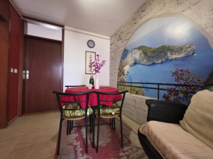 CAPITAL/ Stan Hrasno/ 59m2/ Milana Preloga/ 8.sprat