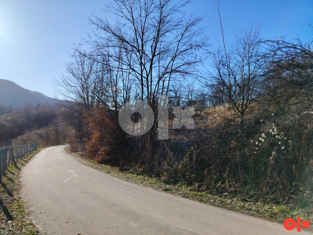 Zemljište(voćnjak+šuma) 12 duluma-Donja Krćina-Ugljevik 065844940 - Prikaz 5