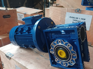 ELEKTRO MOTORI SA REDUKTORIMA