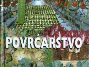 Povrćarstvo (grupa autora)