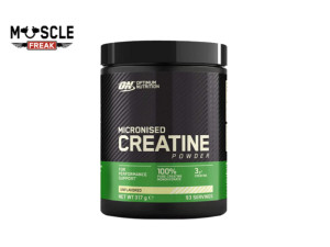 Optimum Nutrition Micronized Creatine Powder 317g