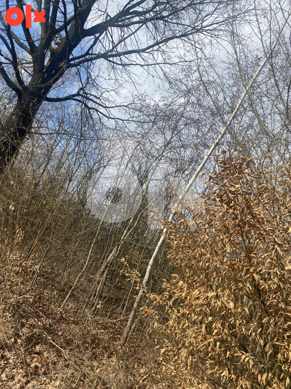 Zemljište Maglaj-Novi Seher 3