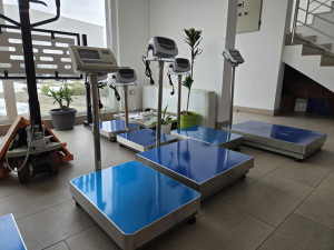 Digitalna platformska vaga 600x800 150-300 kg