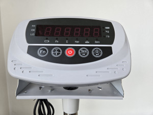 Bežični indikator XK3118 T1-F(WX)