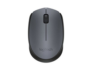 Logitech Wireles mouse M170 - mis