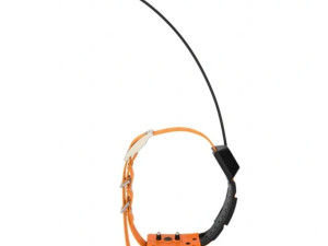 Ogrlica za Pse eSEEK