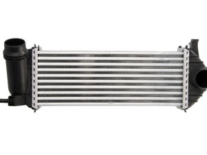 Interkuler MERCEDES CITAN