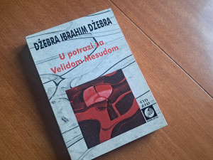 Dzebra Ibrahim Dzebra U potrazi za Velidom Mesudom