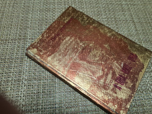 A ona, nije - ona / Petar Jevtović