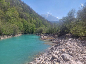Sigenx prodaje kuću/Tjentište photo 4