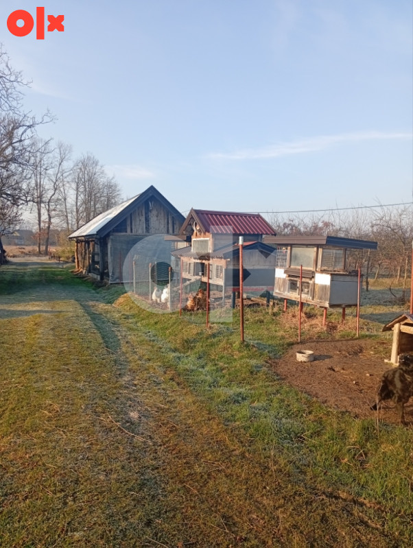 Seosko domaćinstvo 7