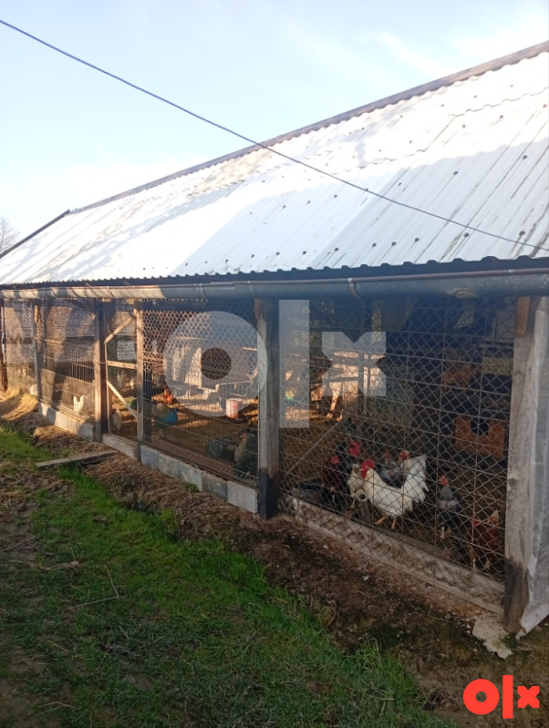 Seosko domaćinstvo 10