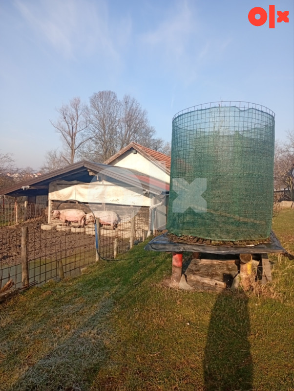 Seosko domaćinstvo 19