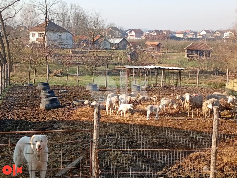 Seosko domaćinstvo 25