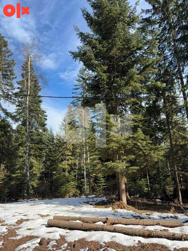 Zemljište Briježđa, Pale 1563m2 9