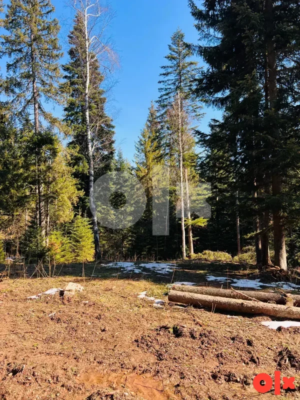 Zemljište Briježđa, Pale 1563m2 6