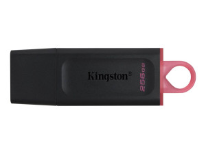 Kingston FD 256GB USB 3.2 DTX Data Traveler Exodia