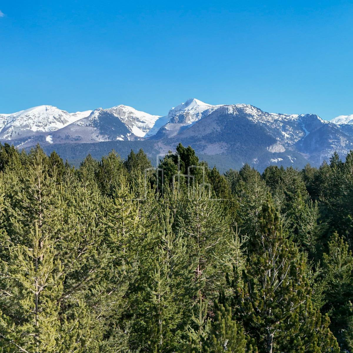 Blidinje Risovac vikendica na placu od 500m2 površina 160m2 8