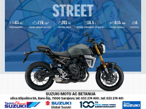 SUZUKI GSX-8T GSX 800 - STREET BIKE - AC BETANIJA