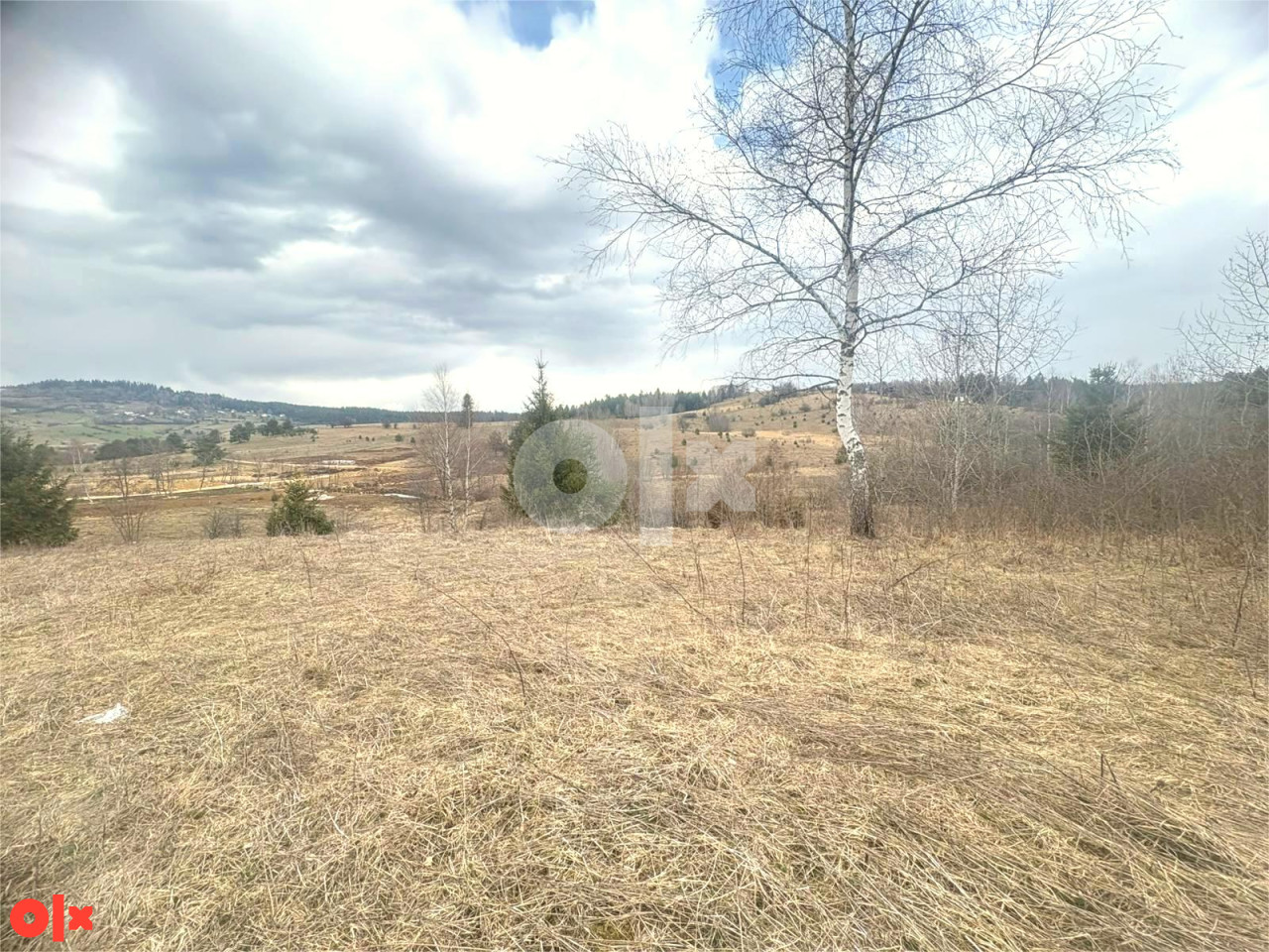 Nišići parcela 1.200m2 (mogućnost kupovine 2.400m2) 2