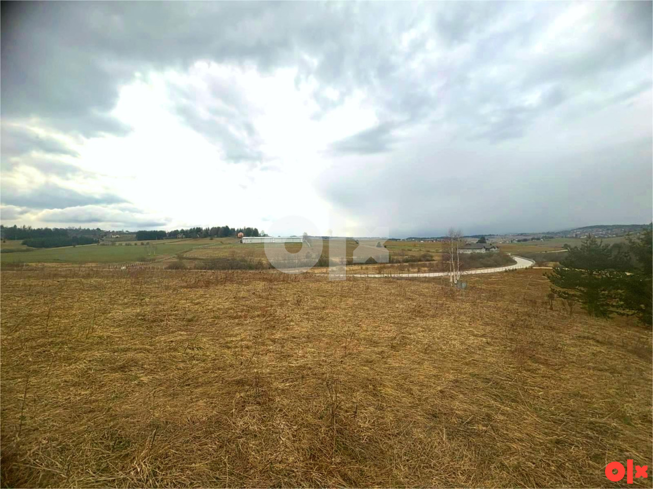 Nišići parcela 1.200m2 (mogućnost kupovine 2.400m2) 3