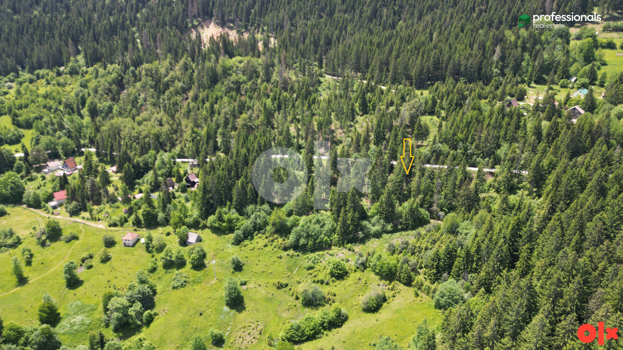 Zemljište Brus Trebević Pale 1000 m2 4