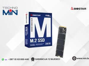 Biostar M760 256 GB SSD M.2 NVMe PCIe Gen3 2800/1150 MB/s