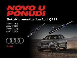 Električni amortizer Prednji Audi Q5 8R 8R0413030J