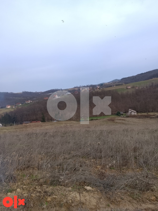 Zemljište Slatina,laktasi 2