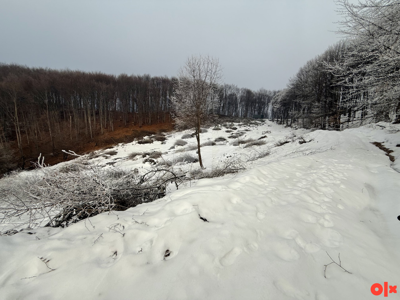 Zemljište  Plac Tuzla Majevica 10000m2 2
