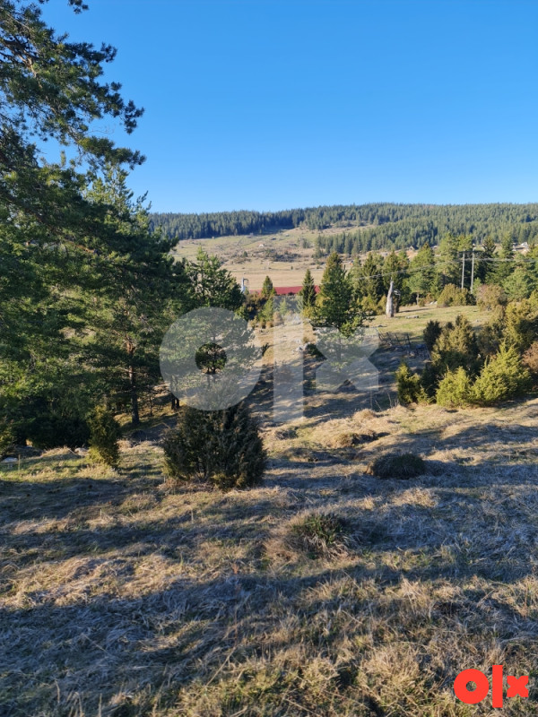 Zemljiste Sokolac Ravna Romanija 2