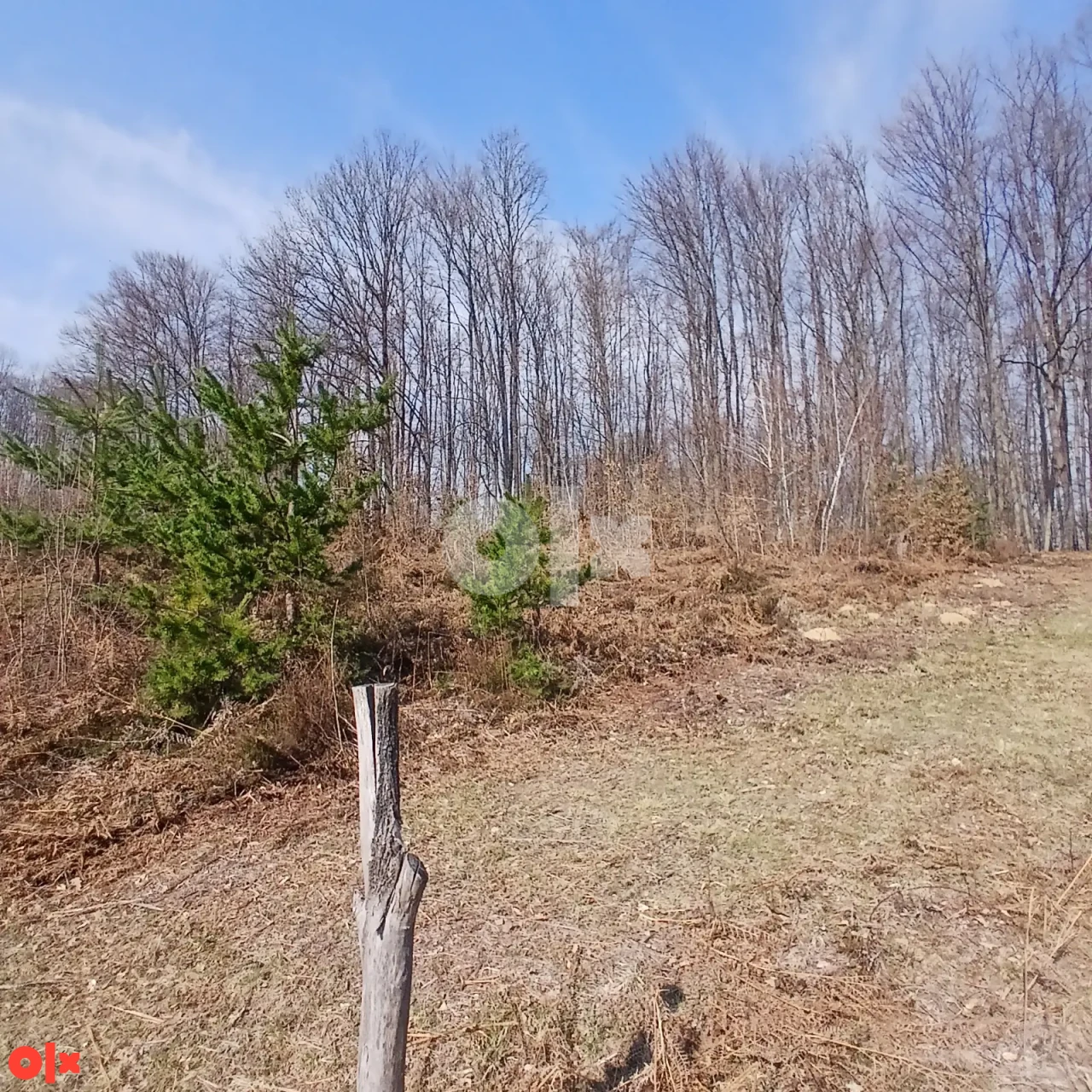 Zemljište Slatina 3000m2 2